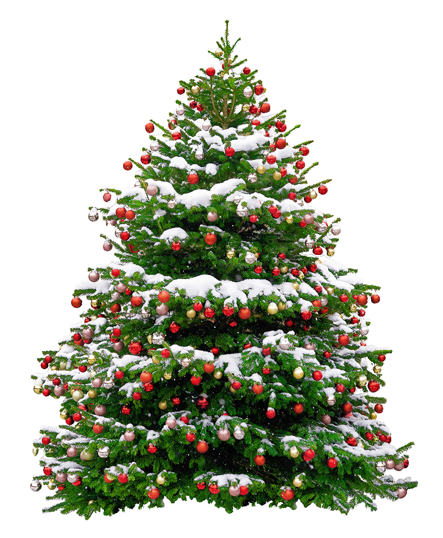 OVV kerstboom actie 2022